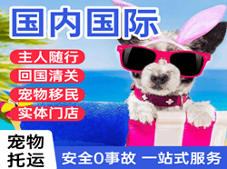 天津滨海航空运输国际宠物托运 【国